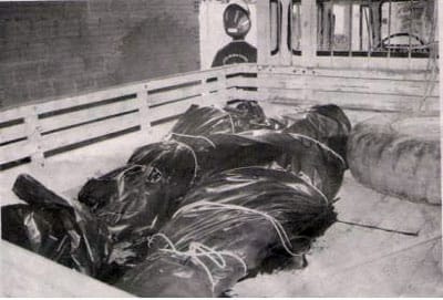 José e Nélio: assassinados brutalmente em 2006 pela ação de bandos armados do latifúndio