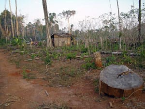 Acampamento Caramuru no município de Parecis