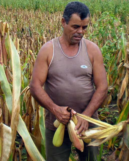 José Gonçalves