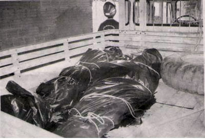José e Nélio assassinados por bandos armados do latifúndio
