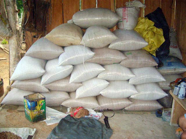 Produção camponesa