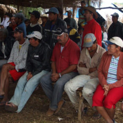 Camponeses participam ativamente das assembléias