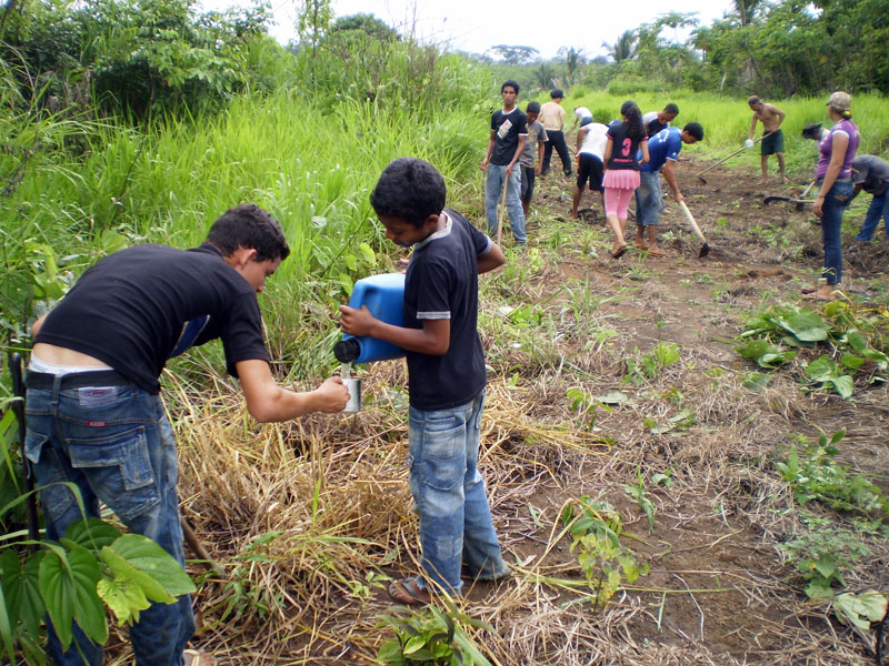 Estudantes e camponeses durante trabalhos