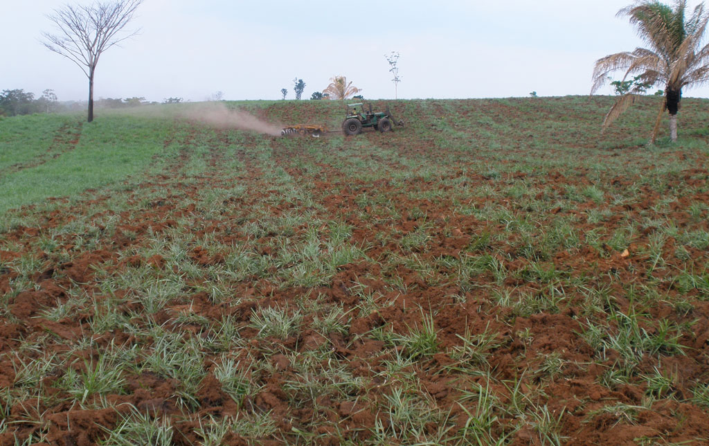 Trator gradeando a terra - 2010