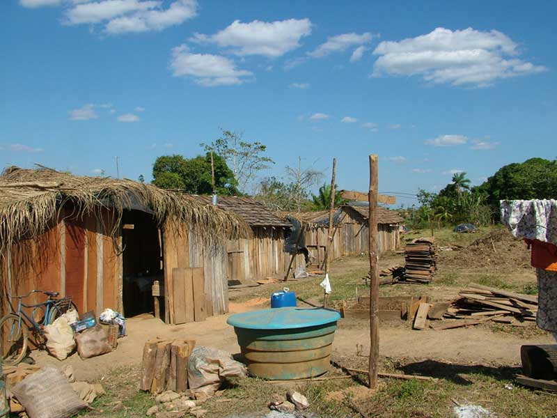 Após o Corte Popular camponeses avançam a produção na área Che Guevara