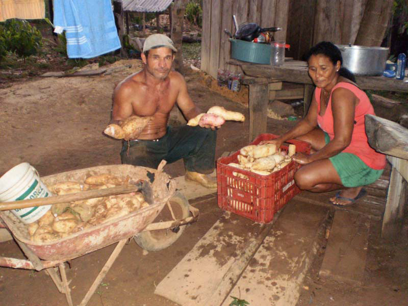 Produção camponesa