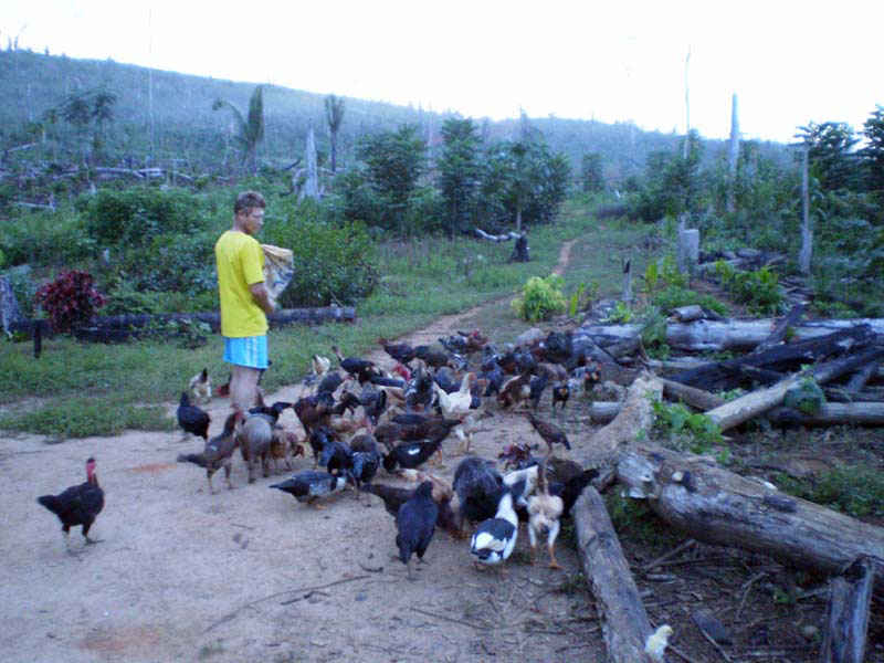 Produção camponesa