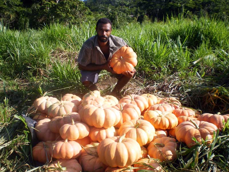 camponês exibe fruto de trabalho e luta
