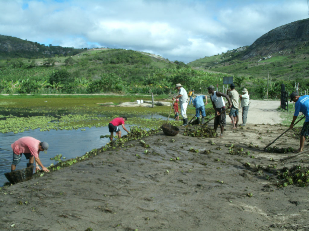 Área José Ricardo