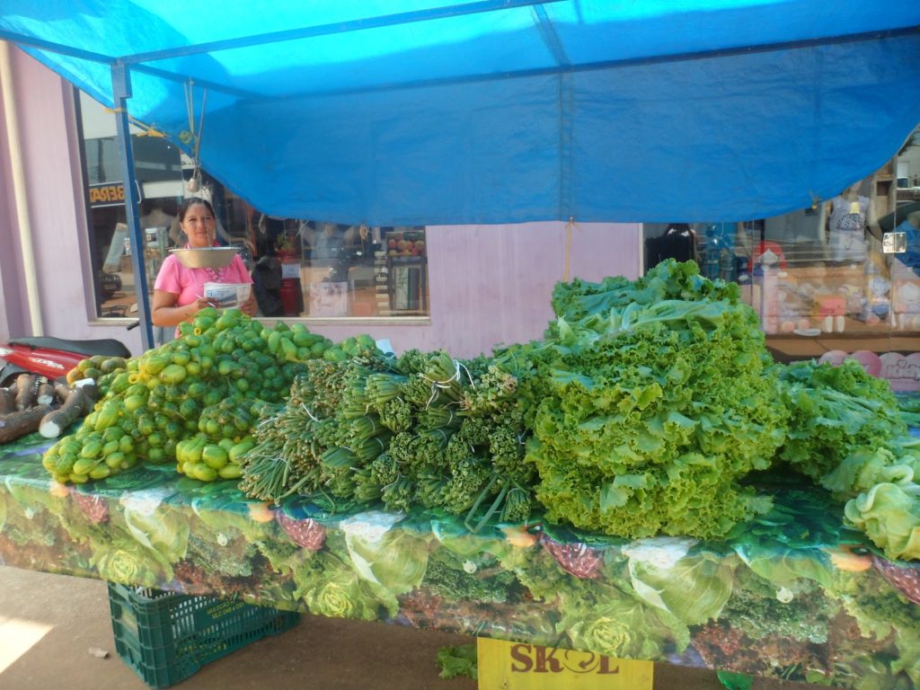 Municipio de Seringueiras era abastecida com produção da área Paulo Freire