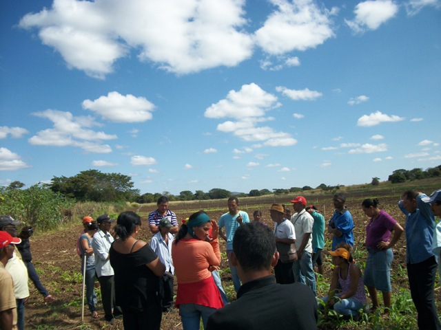 Camponeses da Área Unidos com Deus Venceremos participam de atividade de troca de experiencias no Para Terra I