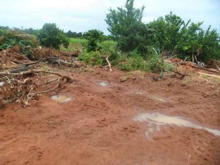 Produção camponesa destruída pelos pistoleiros