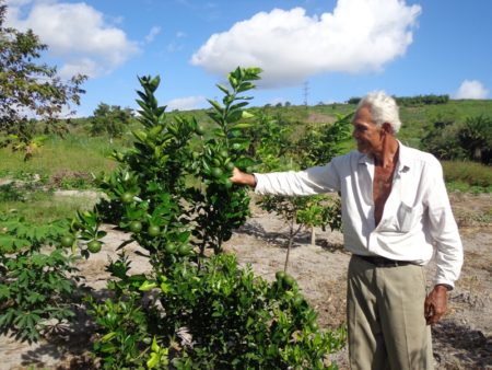 Produção da área