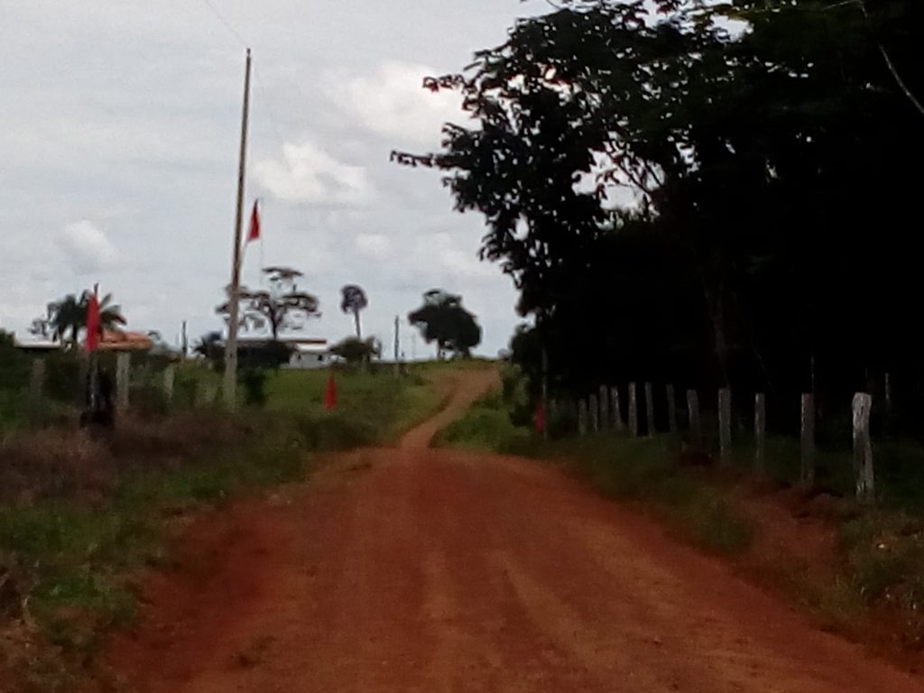Bandeiras da LCP foram colocadas ao longo da estrada de acesso a área
