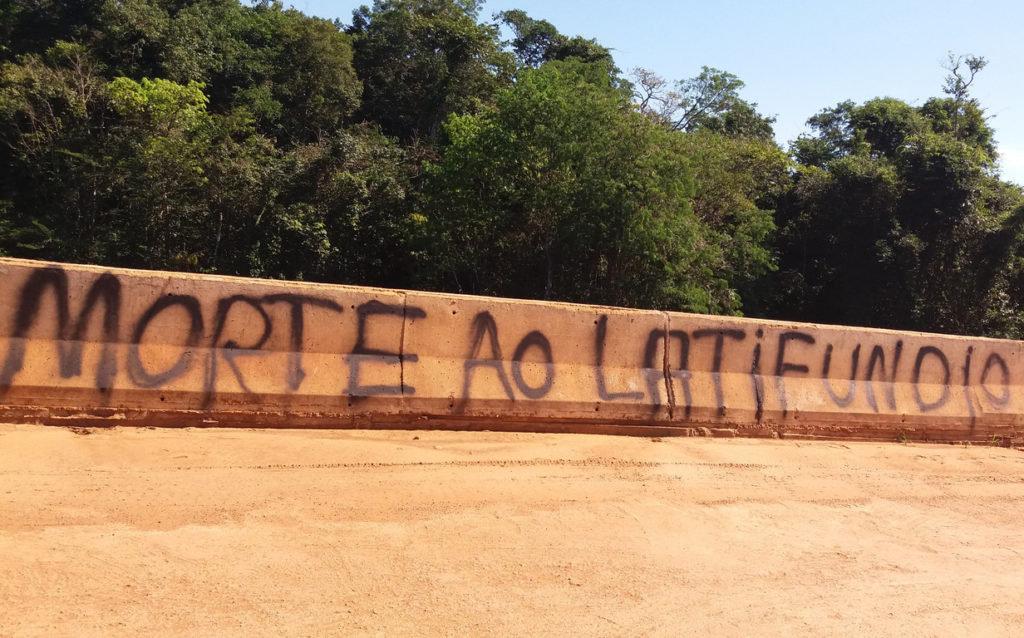 Pichação em Seringueiras